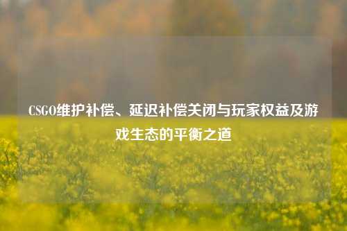 CSGO维护补偿、延迟补偿关闭与玩家权益及游戏生态的平衡之道