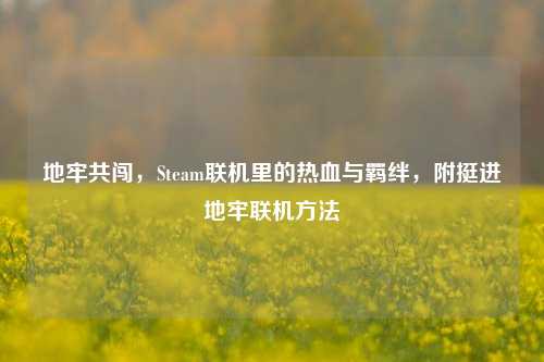 地牢共闯，Steam联机里的热血与羁绊，附挺进地牢联机方法