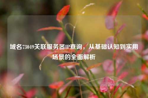 域名73049关联服务器IP查询,从基础认知到实用场景的全面解析