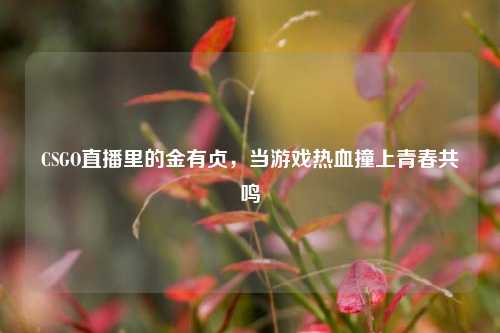 CSGO直播里的金有贞，当游戏热血撞上青春共鸣