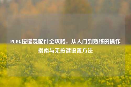 PUBG按键及配件全攻略，从入门到熟练的操作指南与无按键设置方法