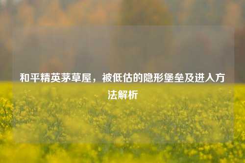 和平精英茅草屋,被低估的隐形堡垒及进入方法解析