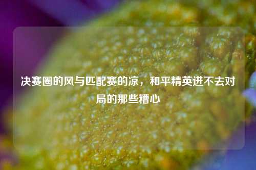 决赛圈的风与匹配赛的凉，和平精英进不去对局的那些糟心