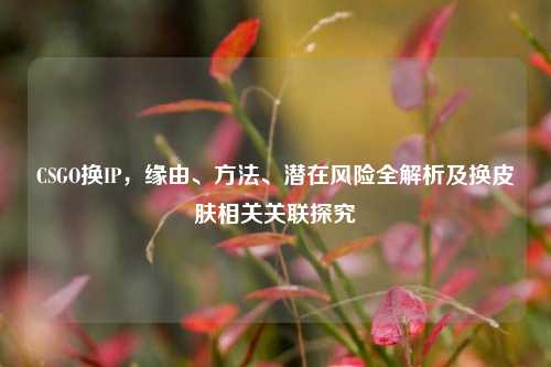 CSGO换IP,缘由、方法、潜在风险全解析及换皮肤相关关联探究