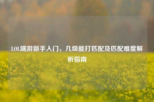 LOL端游新手入门,几级能打匹配及匹配难度解析指南