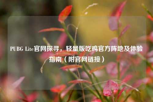 PUBG Lite官网探寻，轻量版吃鸡官方阵地及体验指南（附官网链接）