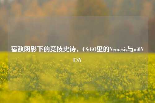 宿敌阴影下的竞技史诗，CS:GO里的Nemesis与m0NESY