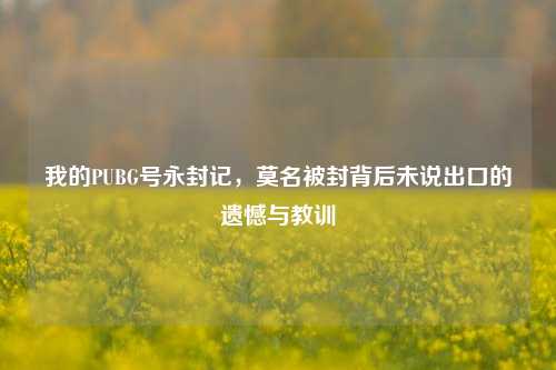我的PUBG号永封记，莫名被封背后未说出口的遗憾与教训