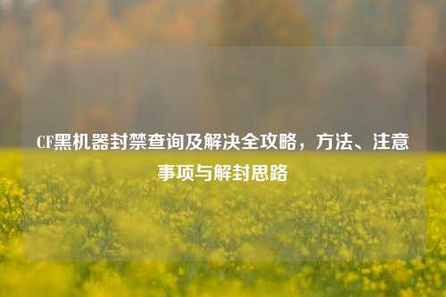 CF黑机器封禁查询及解决全攻略，方法、注意事项与解封思路