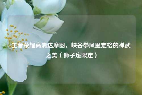 王者荣耀高清达摩图,峡谷拳风里定格的禅武之美(狮子座限定)