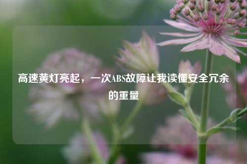 高速黄灯亮起,一次ABS故障让我读懂安全冗余的重量