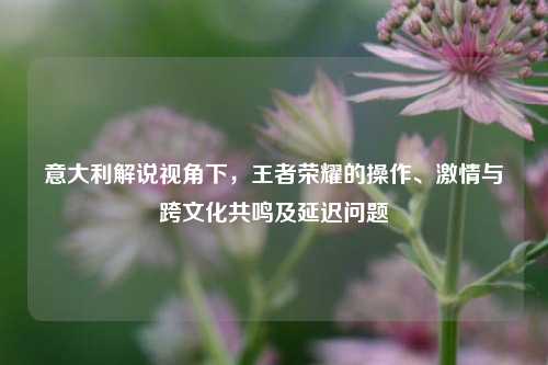意大利解说视角下,王者荣耀的操作、激情与跨文化共鸣及延迟问题