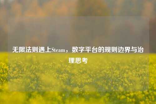 无限法则遇上Steam,数字平台的规则边界与治理思考
