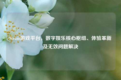 Steam游戏平台,数字娱乐核心枢纽、体验革新及无效问题解决