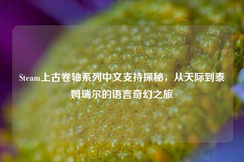 Steam上古卷轴系列中文支持探秘,从天际到泰姆瑞尔的语言奇幻之旅
