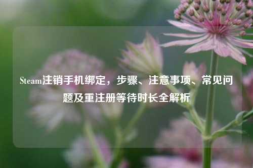 Steam注销手机绑定,步骤、注意事项、常见问题及重注册等待时长全解析