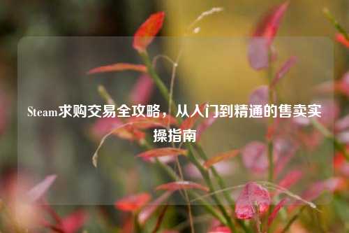 Steam求购交易全攻略,从入门到精通的售卖实操指南