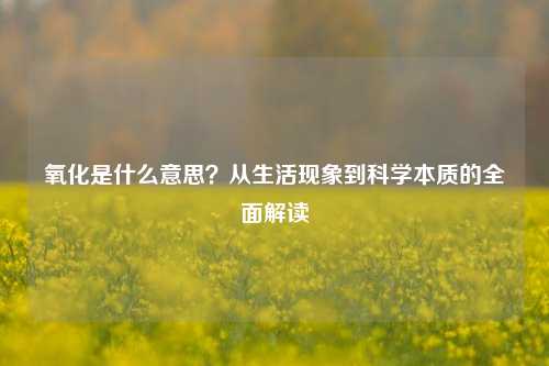 氧化是什么意思?从生活现象到科学本质的全面解读