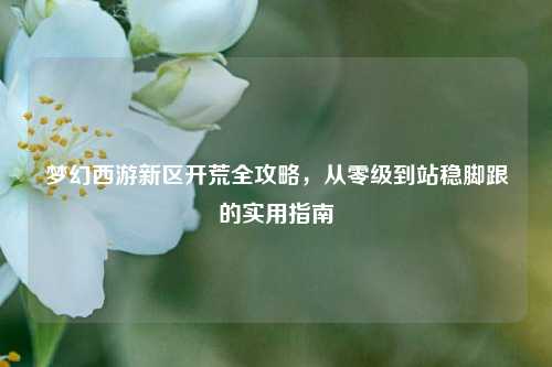 梦幻西游新区开荒全攻略,从零级到站稳脚跟的实用指南