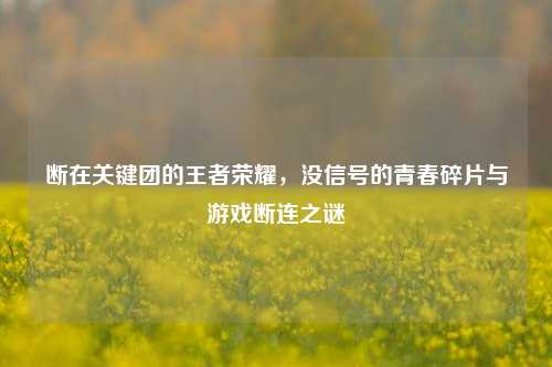 断在关键团的王者荣耀,没信号的青春碎片与游戏断连之谜
