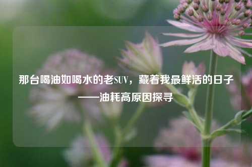 那台喝油如喝水的老SUV,藏着我最鲜活的日子——油耗高原因探寻
