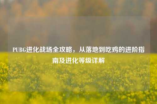 PUBG进化战场全攻略，从落地到吃鸡的进阶指南及进化等级详解
