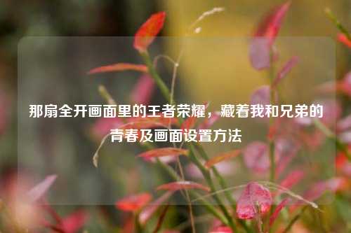 那扇全开画面里的王者荣耀,藏着我和兄弟的青春及画面设置方法
