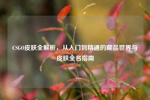 CSGO皮肤全解析,从入门到精通的藏品世界与皮肤全名指南