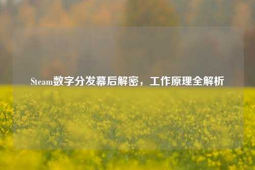 Steam数字分发幕后解密,工作原理全解析