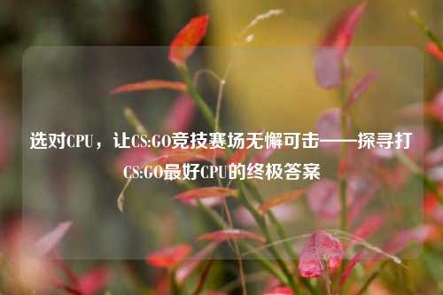 选对CPU,让CS:GO竞技赛场无懈可击——探寻打CS:GO最好CPU的终极答案