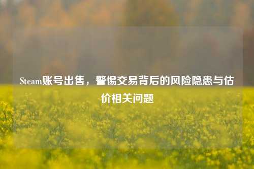 Steam账号出售，警惕交易背后的风险隐患与估价相关问题