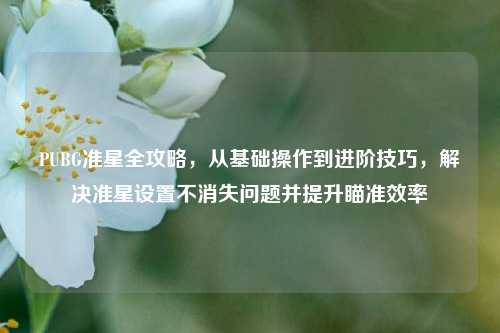 PUBG准星全攻略,从基础操作到进阶技巧,解决准星设置不消失问题并提升瞄准效率