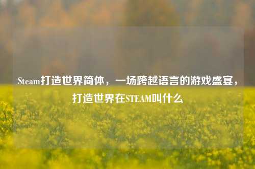 Steam打造世界简体，一场跨越语言的游戏盛宴，打造世界在STEAM叫什么