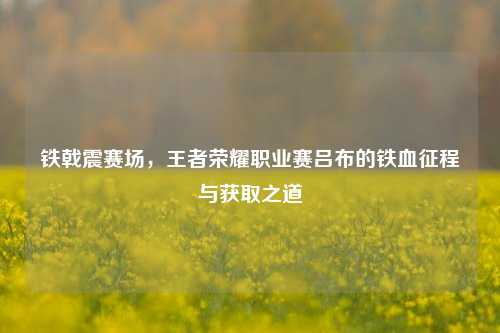 铁戟震赛场，王者荣耀职业赛吕布的铁血征程与获取之道