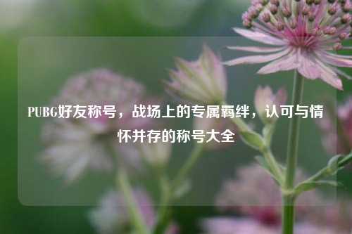 PUBG好友称号,战场上的专属羁绊,认可与情怀并存的称号大全