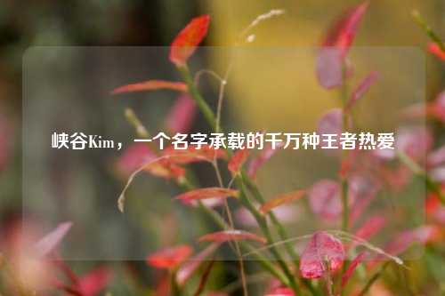 峡谷Kim，一个名字承载的千万种王者热爱