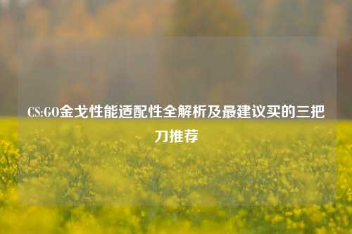 CS:GO金戈性能适配性全解析及最建议买的三把刀推荐