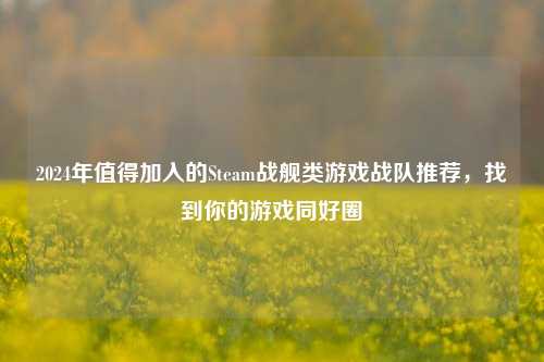2024年值得加入的Steam战舰类游戏战队推荐,找到你的游戏同好圈