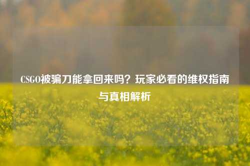 CSGO被骗刀能拿回来吗?玩家必看的维权指南与真相解析