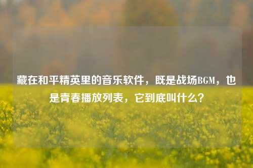 藏在和平精英里的音乐软件,既是战场BGM,也是青春播放列表,它到底叫什么?