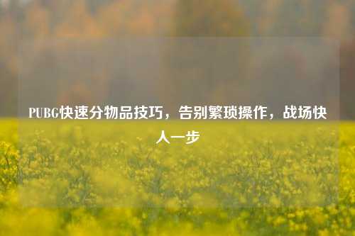 PUBG快速分物品技巧,告别繁琐操作,战场快人一步
