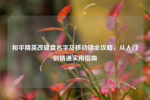 和平精英改键盘名字及移动键全攻略,从入门到精通实用指南