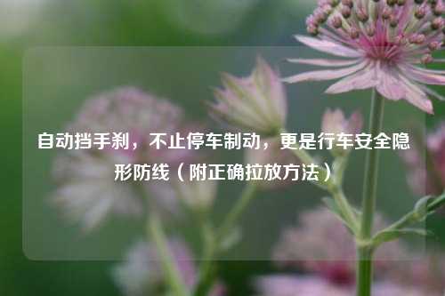 自动挡手刹,不止停车制动,更是行车安全隐形防线(附正确拉放方法)