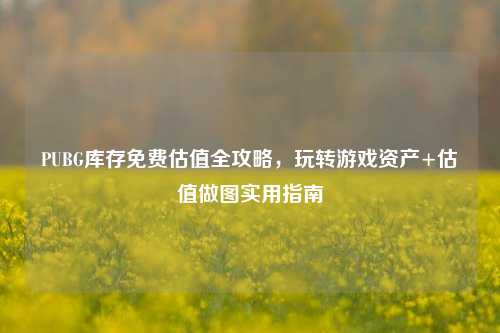 PUBG库存免费估值全攻略,玩转游戏资产+估值做图实用指南