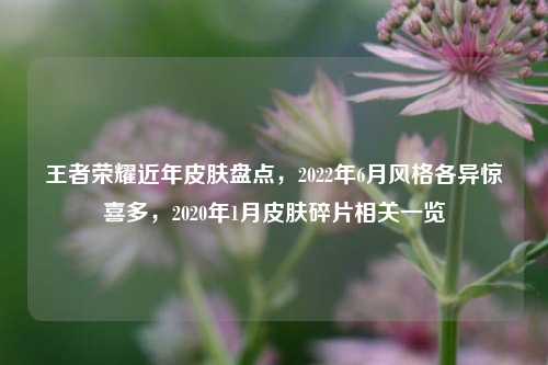 王者荣耀近年皮肤盘点,2022年6月风格各异惊喜多,2020年1月皮肤碎片相关一览