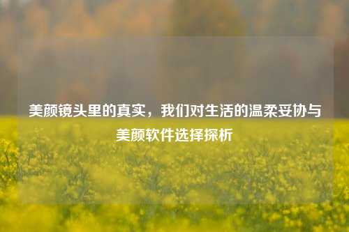 美颜镜头里的真实，我们对生活的温柔妥协与美颜软件选择探析