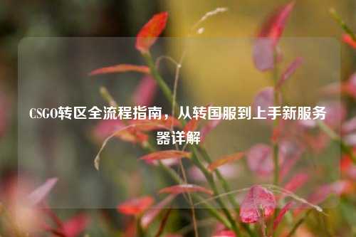CSGO转区全流程指南,从转国服到上手新服务器详解