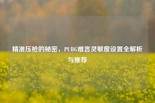 精准压枪的秘密,PUBG难言灵敏度设置全解析与推荐