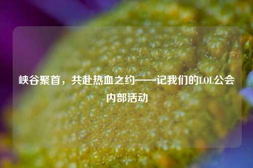 峡谷聚首，共赴热血之约——记我们的LOL公会内部活动