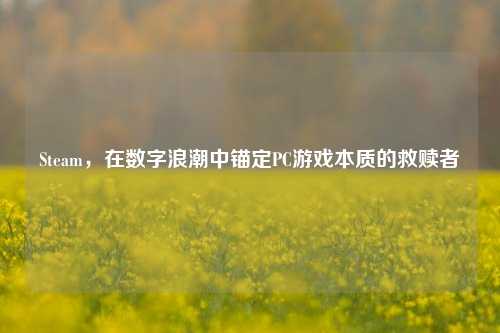 Steam，在数字浪潮中锚定PC游戏本质的救赎者